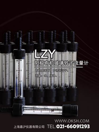 上海嘉滬LZY-陽極轉子流量計